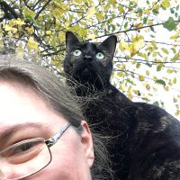 Die Beerin (@seelenkatz) 's Twitter Profile
