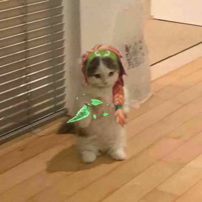 Sayos__'s profile picture. 