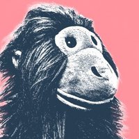 Gareth (@gareth4567) 's Twitter Profile Photo