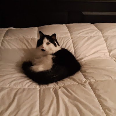 StrongBeryth's profile picture. 