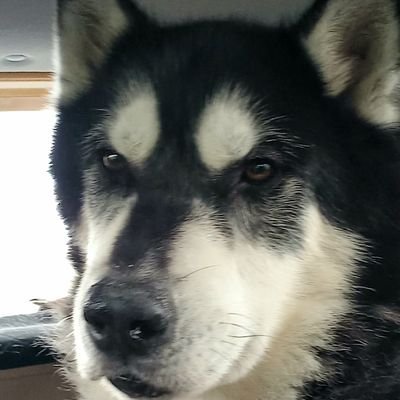 Samfitz80842139's profile picture. 