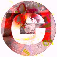 D.In.Ge.Cc.O (@dingecco1) 's Twitter Profile