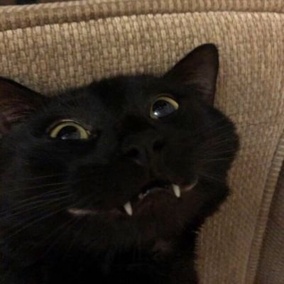 aoranan6's profile picture. ....