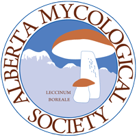 Alberta Mycological Society(@ABMycology) 's Twitter Profile Photo