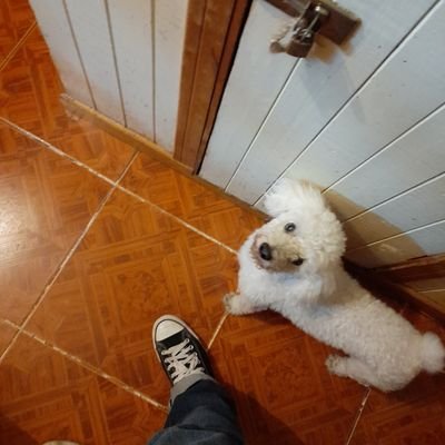 SSC20213's profile picture. No hay nada aquí.