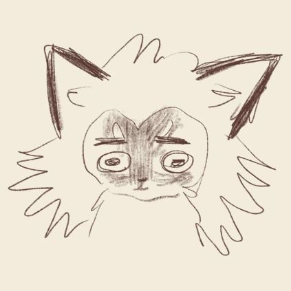 布朗猫猫さんのプロフィール画像