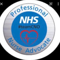 Professional Nurse Advocates Midlands (@pnapmawestmids) 's Twitter Profile