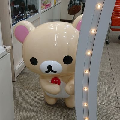 Sephirah_nne's profile picture. ゲーム大好き🎵
PSO2:NGS,モンハン,たまにFPSしてます٩(๑•ㅂ•)۶
配信もしてるので見に来て下さい！
ゲームで使用する名前は、ほぼSephirah（セフィラ）です。主にぷそ垢（作り直し）ship4.でプレイ中。最近、文鳥さん飼い始めて文鳥さん率upかも