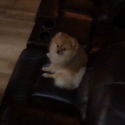 kolesnikovx's profile picture. h