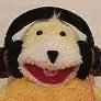 valanceさんのプロフィール画像