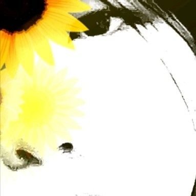 YerbatyrB's profile picture. девушка зенкаева