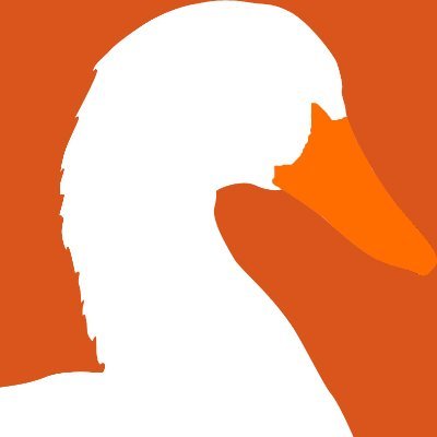 hell_goose Profile Picture
