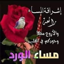 بسيط... بحب الكيف... و الصدق... و بكره أصحاب الوجهين