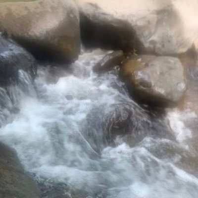 notgroovywitch's profile picture. on the low