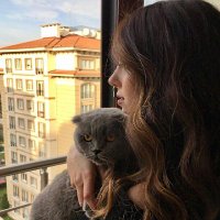 ilayy🐝 (@ilaydaurass) Twitter profile photo