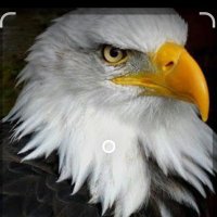 ✦✧𝑶𝑳𝑴𝑬𝑫𝑶✧✦ (@claudioolm66) 's Twitter Profile