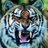 zendamania's profile image
