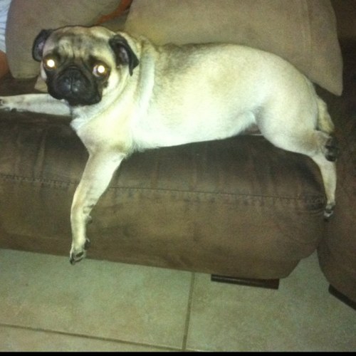 deacs1003's profile picture. 