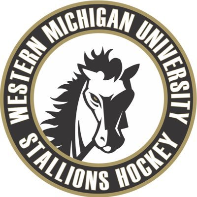 Western Michigan University ACHA Dlll Club Hockey Team 🐴🏒 Instagram: D3wmustallionshockey TikTok:D3wmustallions