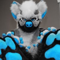 Reno Hyena (@renohyena) 's Twitter Profile Photo Reno Hyena (@renohyena) 's Twitter Profile Photo