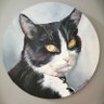 moneylender's profile picture. 