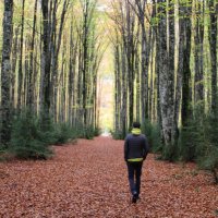 Un médico rural (@alvgomnie) 's Twitter Profile Photo