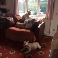 Ruth Mcwatt 1 (@mcwattruth) 's Twitter Profile Photo