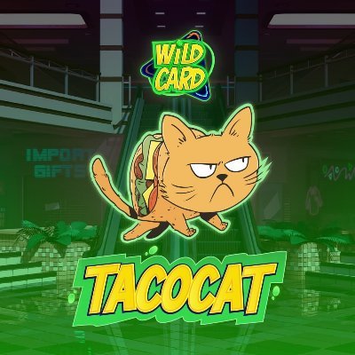 Are you looking for an #AxieScholarsip? 
Follow me and you'll get something better! 🚀 

A #tacocat in a wild #wildcard world 🌮😾

https://t.co/zjKR8rLhWt
https://t.co/JlJD0LYC6g