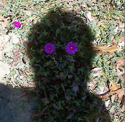 aeonyx1's profile picture. 