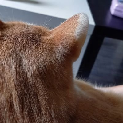 Melle__Isabelle's profile picture. 🎤 271017 FT-ISLAND▪️100618 GOT7▪️271018 BTS▪️270119 Day6👏▪️260519 One Ok Rock 🤟 ▪️070619 BTS 💜▪️ 080619  BTS 💜 ▪️191019 GOT7 💚▪️