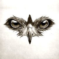 Falcon Eye(@bigfalconeyes20) 's Twitter Profile Photo