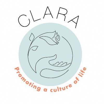 CLARAlife_org's profile picture. Promoting a culture of Life in Belgium

Association pour la défense de la vie humaine
Vereniging voor de bescherming van het menselijk leven