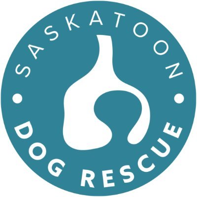 Dedicated to the rescue, rehab & rehoming of dogs in need 🐾
YXE | 100% volunteer-ran non-profit organization