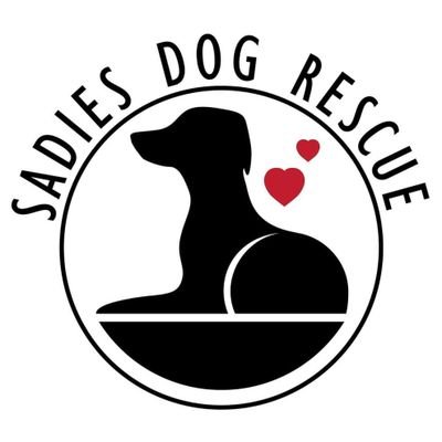 Eaglerae's profile picture. BDMLR Marine Mammal Medic. Volunteer Sadies Dog Rescue (Romania). Has helped Thai street dogs and documented Taiji dolphin hunts in Japan. Hates animal abuse!!