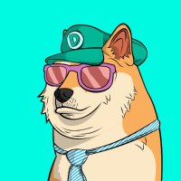 RugbymonkNZ🐉 (@rugbymonknz) 's Twitter Profile