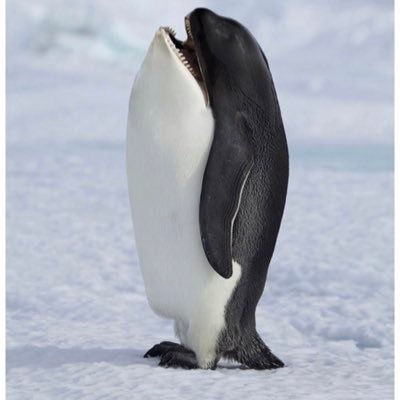 Glenkicksass's profile picture. 