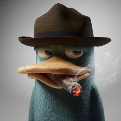 Superfly Duck Profile