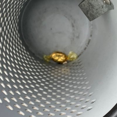 weirdobop1's profile picture. I still don’t really know how twitter works 🌤🌎