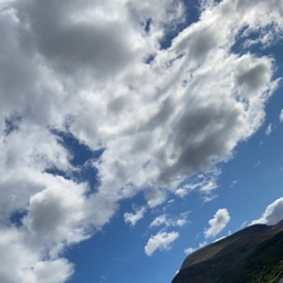 hzasnxz's profile picture. 