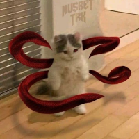 Huy Khánh (@rysosad707) 's Twitter Profile