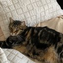 Adrian Henry - @AdrianH73036348 - Twitter