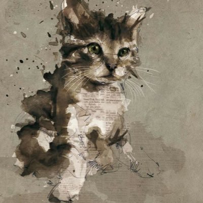 Kyomogenki1012's profile picture. 新大工/NCC/ ねこ/ヴァロしてます＊＊＊＊＊＊