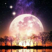 Luna de Fresa ππ (@lunadefresa10) 's Twitter Profile