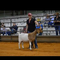 Clee tx (@clee_tx) 's Twitter Profile
