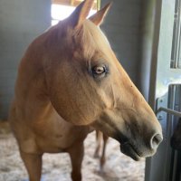 kindnessmatters (@love_and_mtns) 's Twitter Profile