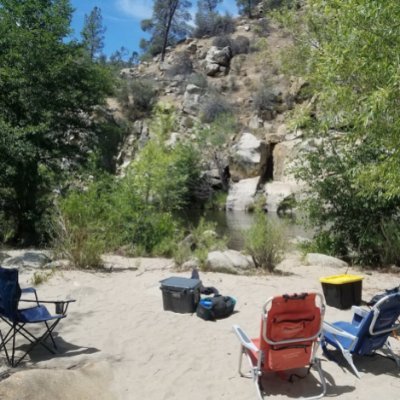 fatzgerald's profile picture. 