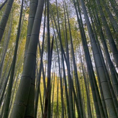 普通のサラリーマン3年目突入 美容好き