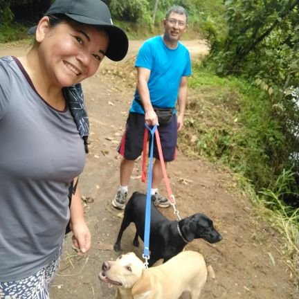 Ingeniero caleño, el deporte me apasiona, amante de la naturaleza y de los animales. 
Nadie por poderoso que sea puede estar por encima de la justicia.