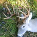 billy norris - @billynorris2 - Twitter