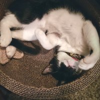 H.K. (@hk48077554) 's Twitter Profile Photo